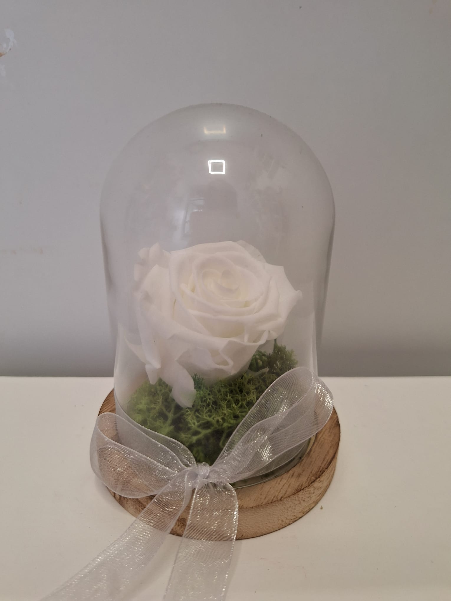 Cúpula rosa eterna blanca pequeña con led