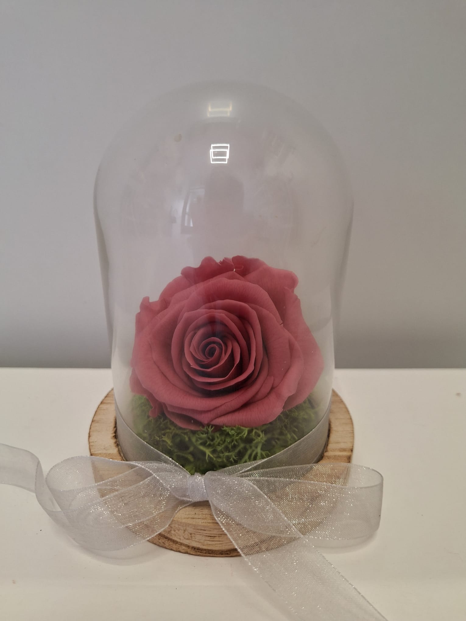 Cúpula pequeña con rosa eterna en color rosa y luz incluida